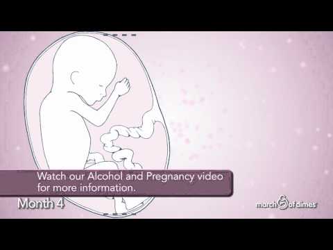 Video: What Is The Size Of The Belly In The Fourth Month