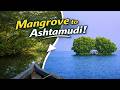 Kerala Ashtamudi Lake & Mangrove Forest | Munroe Island Full Travel Guide