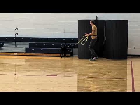Parker Middle School Sniff 'n' Go 2026 - Mesa, Gymnasium