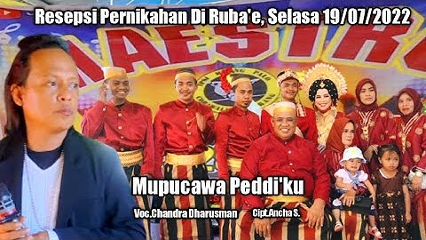 🔰Lagu Bugis || Mupucawa Peddi