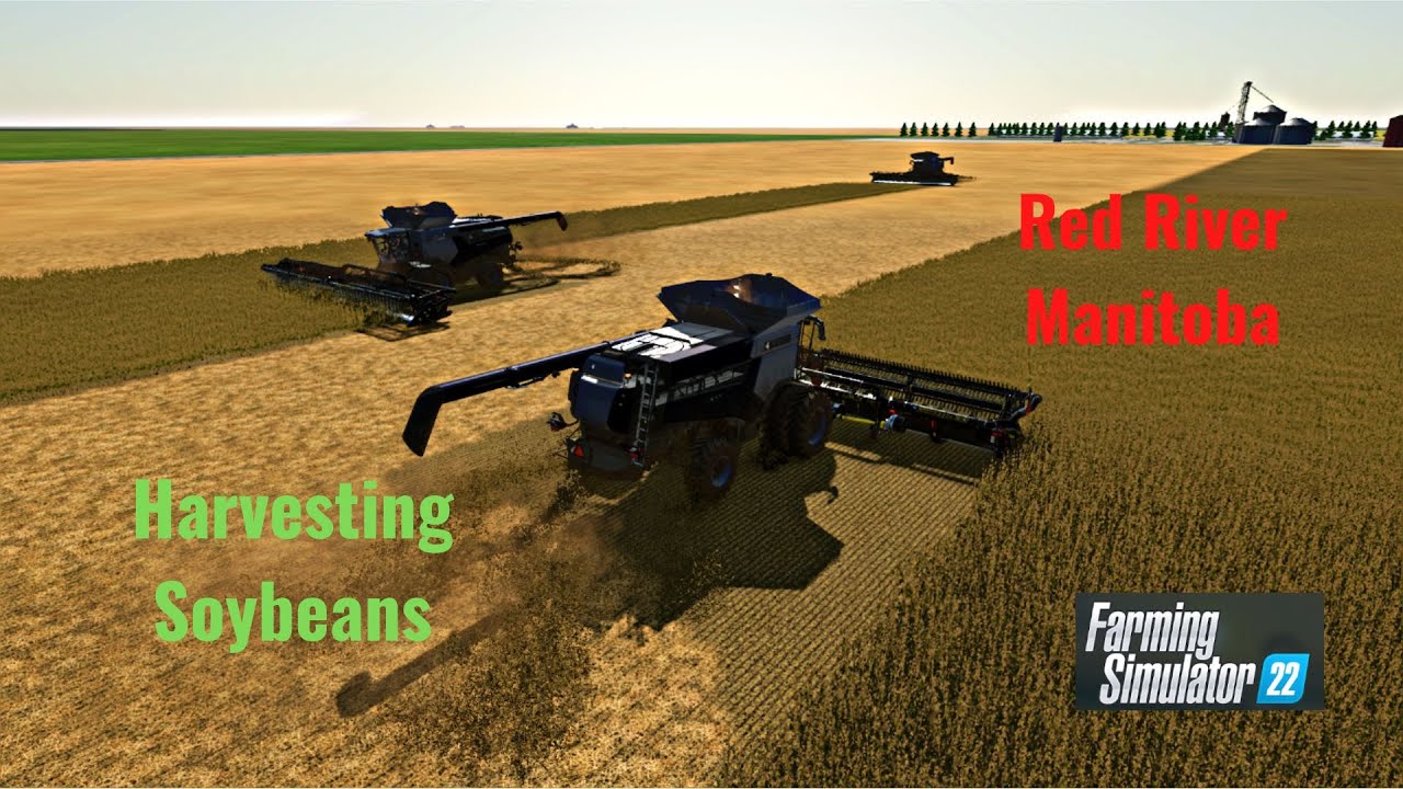 FS22 Red River Manitoba Harvesting 2 Small Fields Of Soybeans With 3