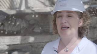 Dentro De La Cibeles