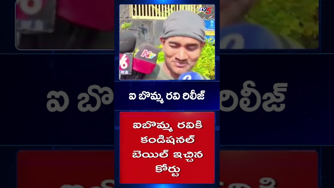 ఐ బొమ్మ రవి రిలీజ్ | Ibomma Ravi Released with Condition Bail | TV5 News