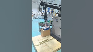 Palletizing robot #palletizer #collaborativepalletizer