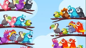 Color Bird Sort - Puzzle Mobile Game | Gameplay Android