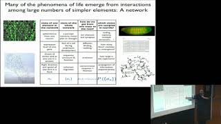 Dr William Dialek - STATISTICAL MECHANICS FOR REAL BIOLOGICAL NETWORK