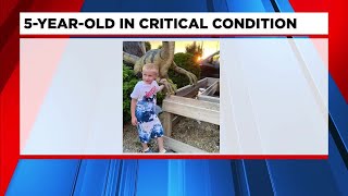 5-year-old in critical condition after being hit by vehicle, family says