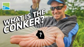 What Is The Conker? | How To Spice Up Your Bomb &amp; Pellet Fishing