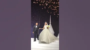 اجمل دخلة عرسان دي ولا ايه 