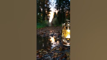 POV:دقيقة من وقتك للإستماع الى أحسن الأصوات 🎧📖🤍||القارئ عبد الرحمن مسعد 😍♥️#القرآن_الكريم