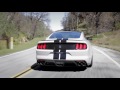Shelby GT350 Sights & Sounds - Beauty, Exhaust, Fly-by - Everyday Driver