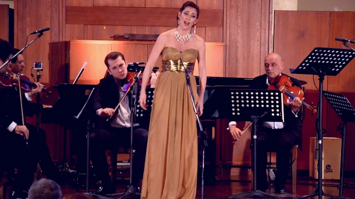 Corinne Metni- Concerto pour une voix