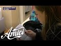 Amici 24 - Alessia e la lettera della mamma