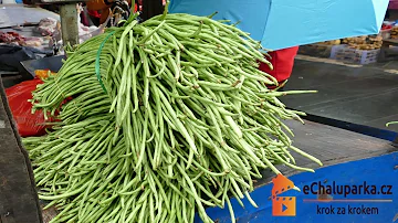 Co jsou štíhlé fazolové lusky?