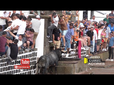 Tourada à corda na Vila de São Sebastião, São Sebastião, 25 de julho de 2025