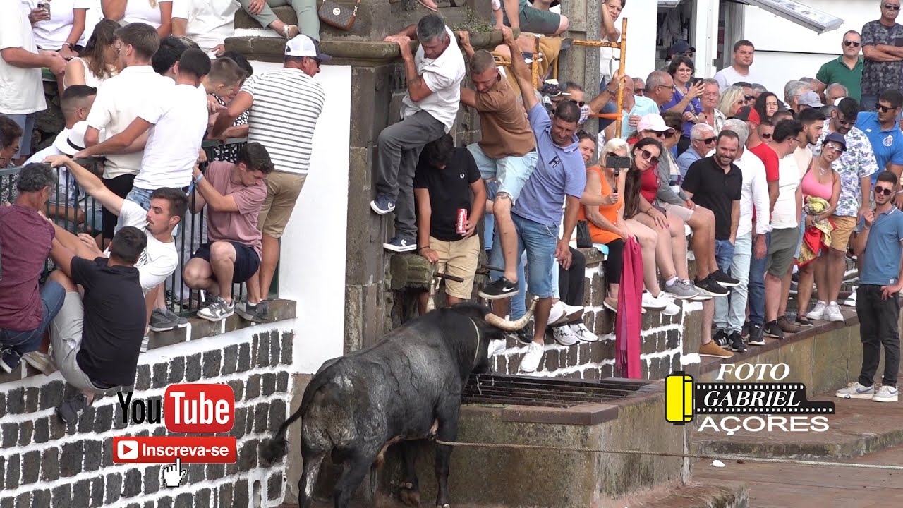 Tourada Vila de São Sebastião 25-07-2025 Ganadeiro O.T.T.