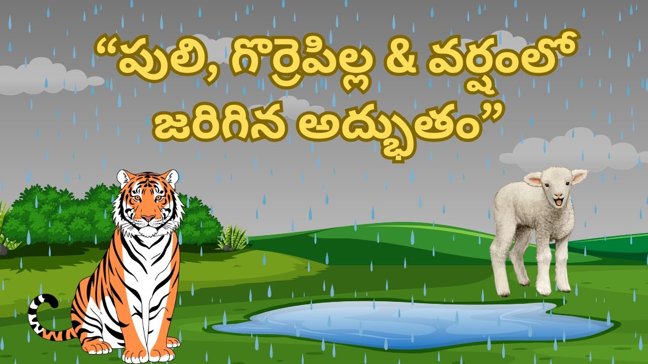పులి & గొర్రెపిల్ల వర్షంలో – జరిగిన అద్భుతం | Telugu Kids Moral Story | Tiger Lamb Story in Rain