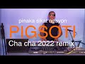 PIGSOTI REMIX