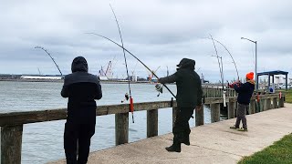 Fishermen Have One of The Best Fishing Days Ever Caught on Video