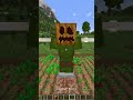 Minecraft Scarecrow!