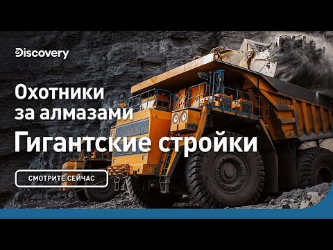 Видео: Великолепные блондинки собираются отпраздновать день рождения Золотого ретривера