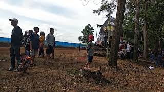 Gestrek Lampung Timur Adi Rocket Dan Kawan Kawan