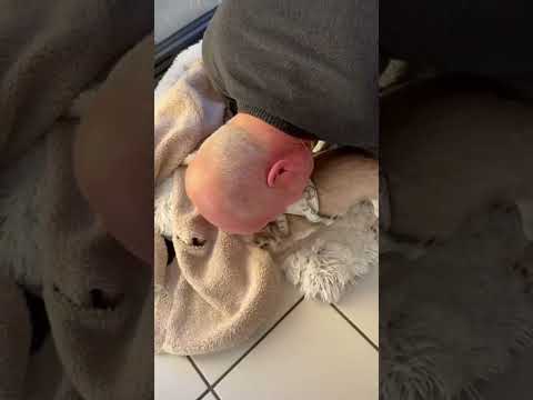 Heute kein Kraftsport, Babysitter gewesen.#motivation #shortsvideo #shorts #sports