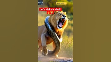 "Giant Python Wraps Around Lion’s Neck – Intense Roar Shakes the Jungle😱! #shorts #viral #subscribe