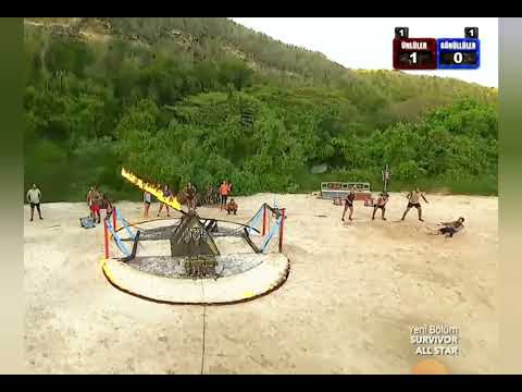 Survivor efsanesi hikmet tuğsuz