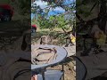 They need a toy toss even while camping. Douggy was a bit sore. #dogsofyoutube