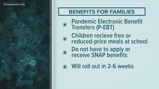 Vdss is offering p-ebt benefits to families of students who usually
receive free meals at school.