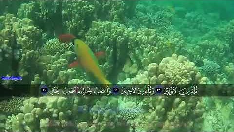 تلاوة عذبه ، سوف تذهب بك الى عالم آخر - مقطع للجوال