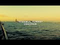 Maiden&#39;s Tower coastal walk in Üsküdar, Istanbul, listening to the sound of birds and the sea | 4k