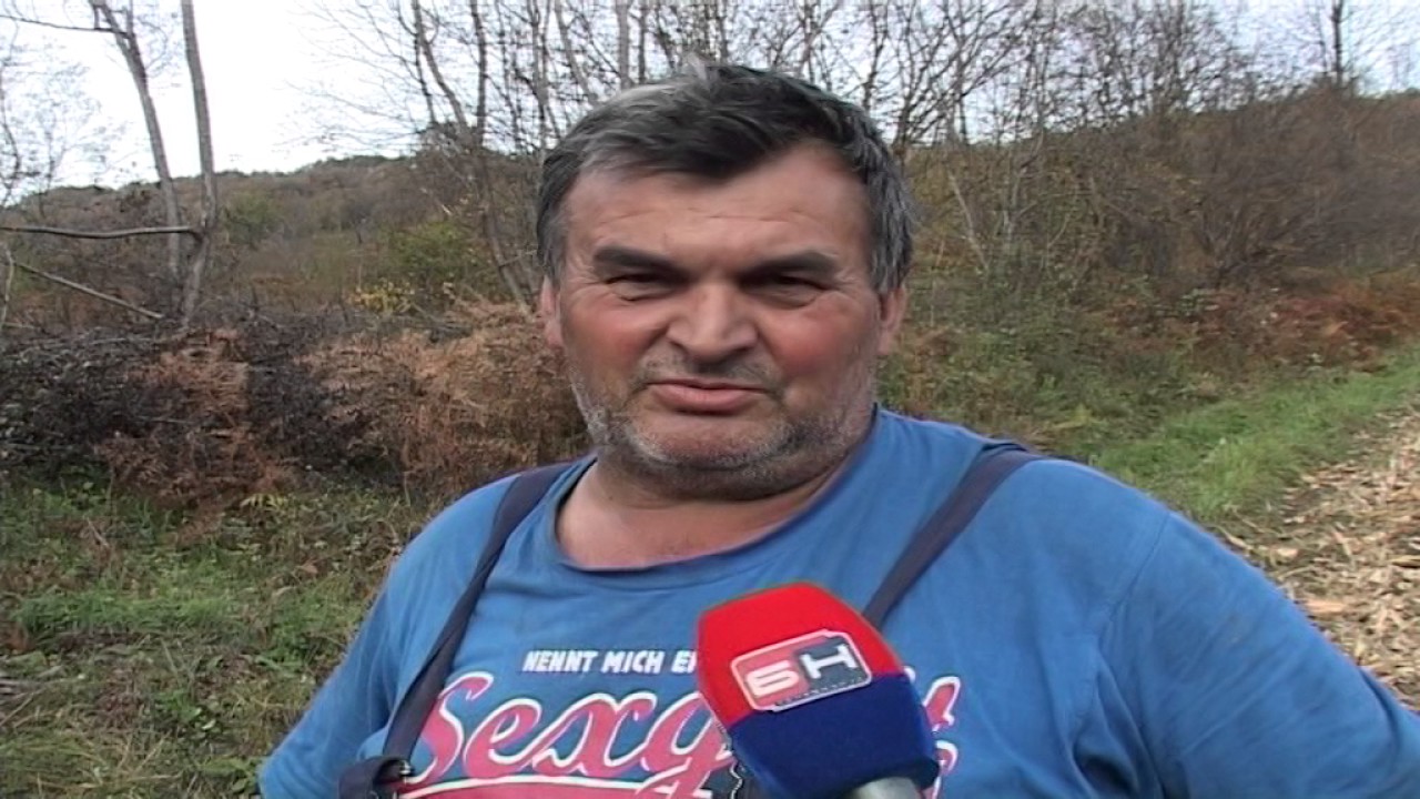 BERBA KUKURUZA - GRMEČ