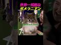 ポメ:褒めて!褒めて!でも捕まえないでねwww