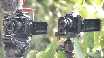 Lumix G100 Vs Lumix G7 Autofocus
