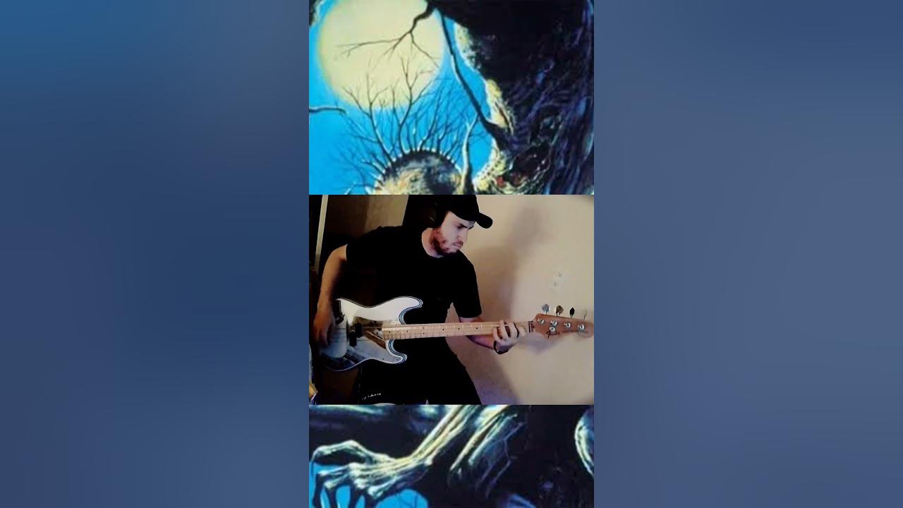 Fear of the Dark Live (Iron Maiden) - Cover #steveharris.