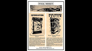 INFIBULATION "Viral excretions of consequence" (S/D-03)