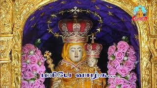 🔴 Live 29 November 2025 @ Vailankanni Shrine Basilica