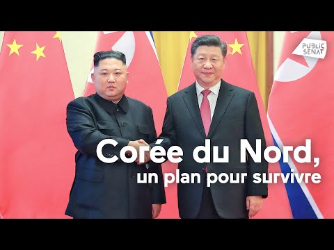 Vidéo: Présentation de l'artillerie. Partie 5. Systèmes remorqués