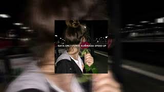 Download Lagu GATA ONLY PARTE ELIMINADA / (SPEED UP) MP3