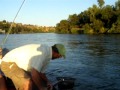 Sacramento fishing with greg hector of hookem heckys