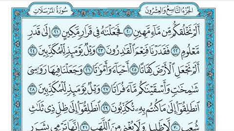 تلاوة من صلاة المغرب في جامع القبلتين  الأربعاء١٣ذو القعدة ١٤٤٢سورة المرسلات الشيخ أيمن أحمد الرحيلي