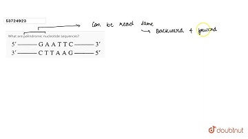 What are palindromic nucleotide sequences?  | 12 | BIOTECHNOLOGY: PRINCIPLE