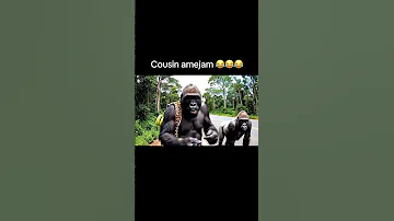 Cuzo Amejam Yake Yote 