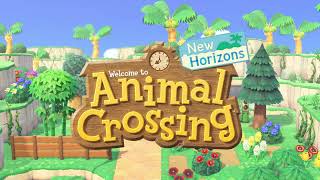 Animal Crossing: New Horizons  2PM