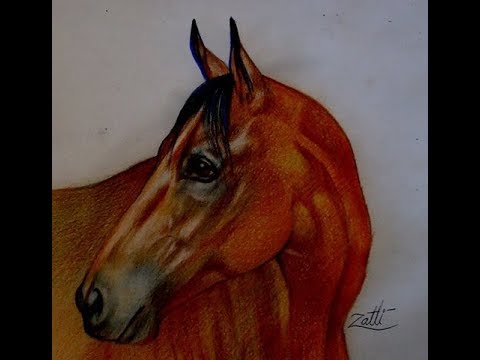 Como desenhar um Cavalo realista PASSO A PASSO narrado 