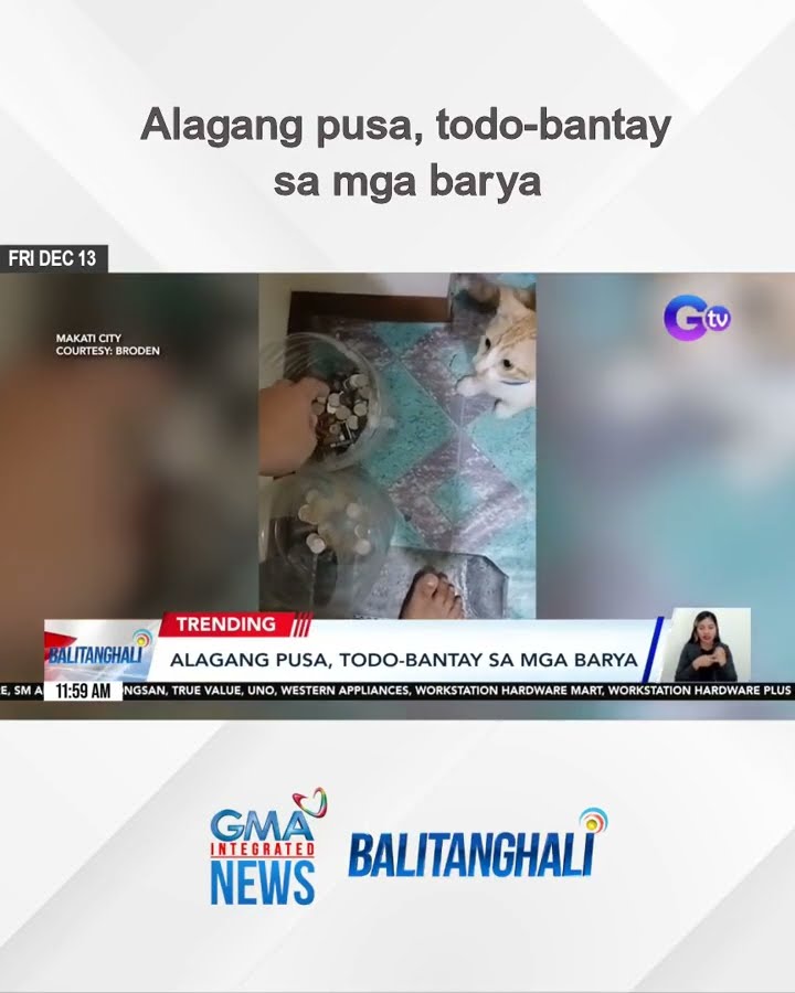 Alagang pusa, todo-bantay sa mga barya | Balitanghali