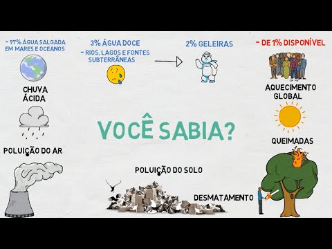 Vídeo: Como Foi O Dia Mundial Do Meio Ambiente