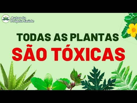 Vídeo: Quais plantas contêm ácido aristolóquico?